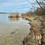 Hohe Gaeste - Zentral, Barrierefrei, Hunde Willkommen