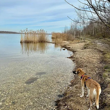 Hohe Gäste - Zentral, Barrierefrei, Gemütlich