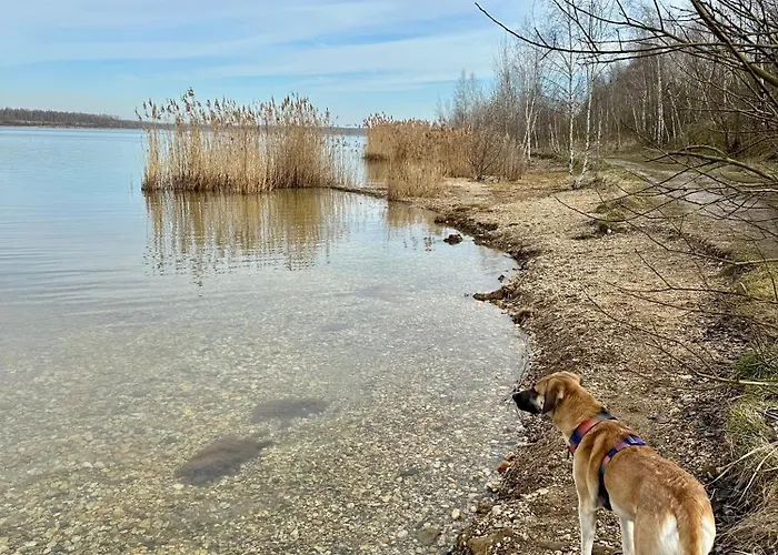 Hohe Gaeste - Zentral, Barrierefrei, Hunde Willkommen